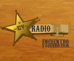 84368_EV Radio.png